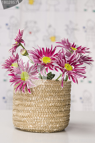 Image of bouquet of red flower