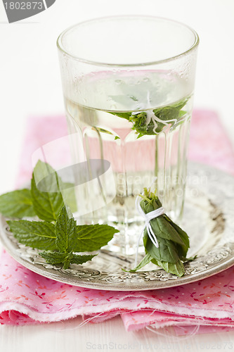 Image of Mint tea