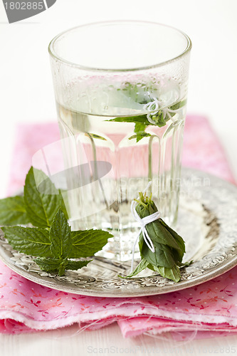 Image of Mint tea