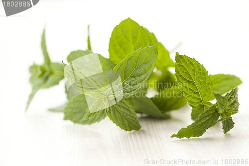 Image of Mint leaves
