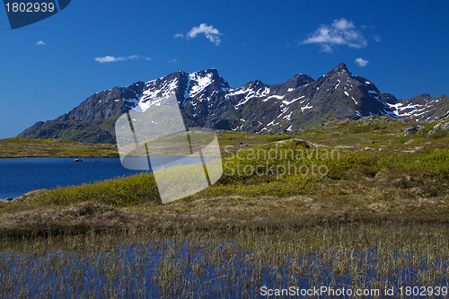 Image of Lofoten mountains