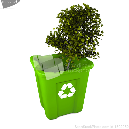 Image of Tree in recycle bin