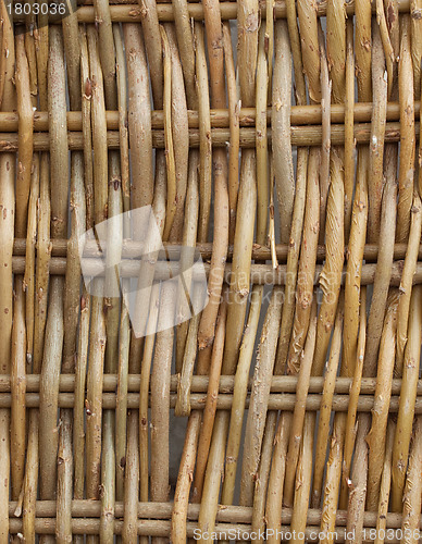 Image of Wall from willow rods