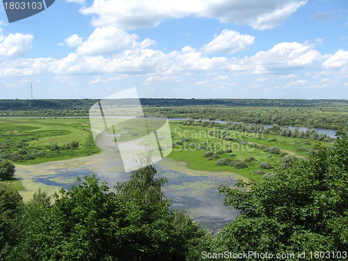 Image of summer landscape