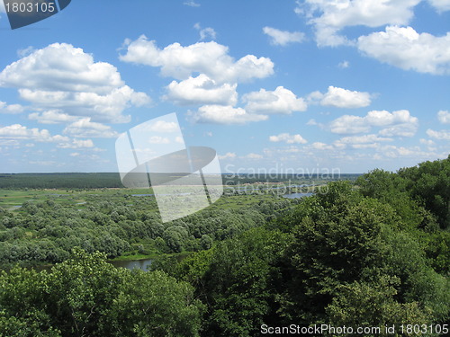 Image of summer landscape