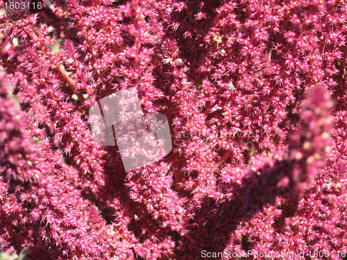 Image of Red abstract background