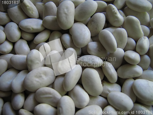 Image of Beans Macro