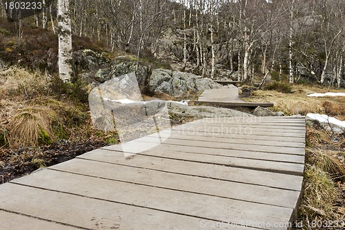 Image of wooden foot path in rural landscape