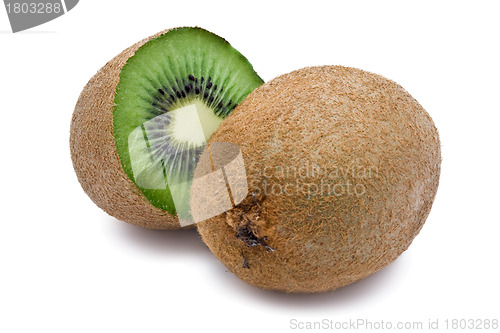 Image of Kiwi