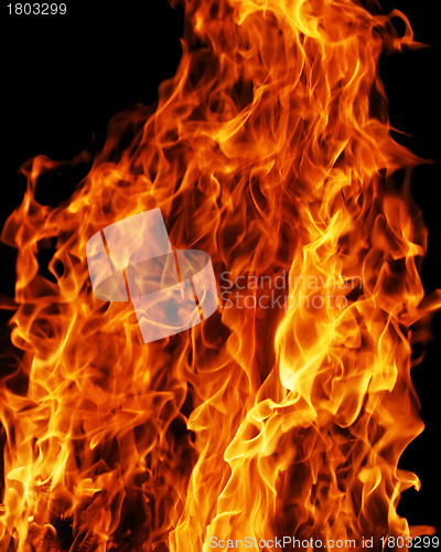 Image of Fire