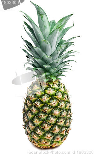Image of Pineapple