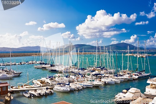 Image of White yachts in the port