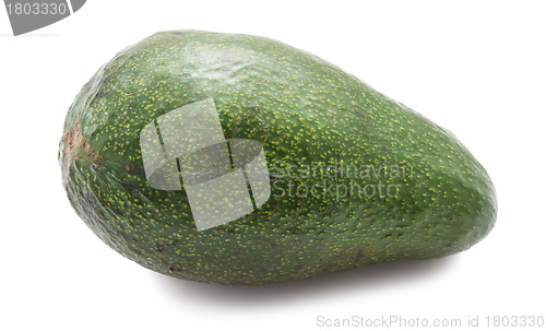 Image of Avocado