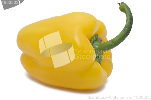 Image of Bell pepper
