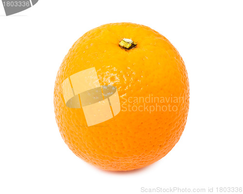 Image of Orange