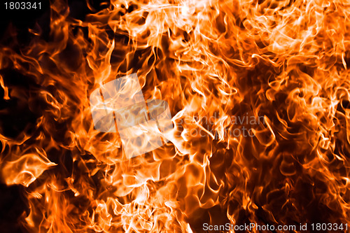 Image of Fire