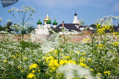 Image of Summer field