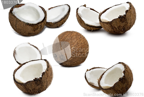 Image of Coconuts 