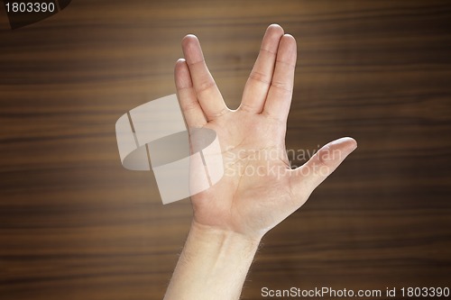 Image of Vulcan Salute