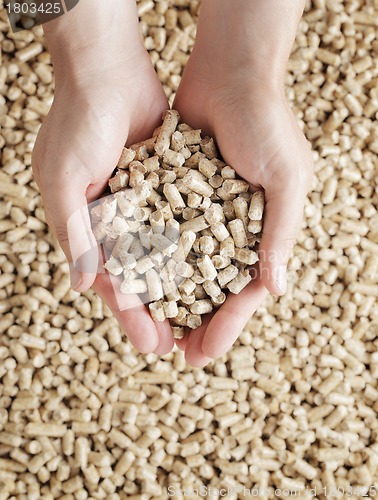 Image of Wood pellets