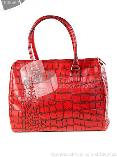 Image of The red bag is fashionable women in the studio