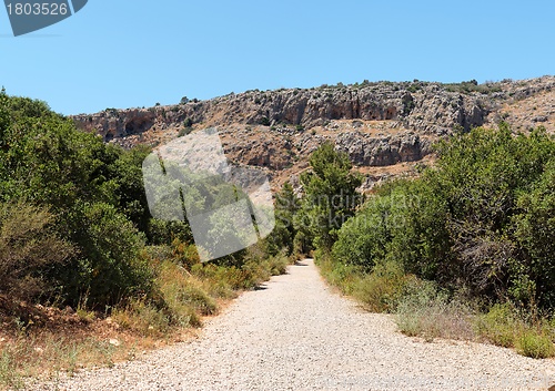 Image of Outdoor road between two rows of bushes toward gray and orange rocks