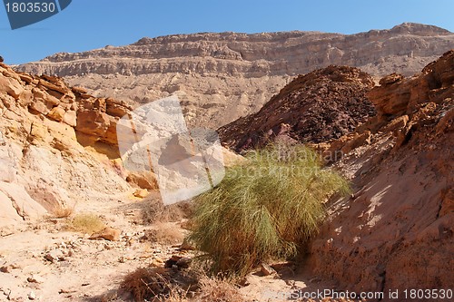 Image of Scenic desert canyon