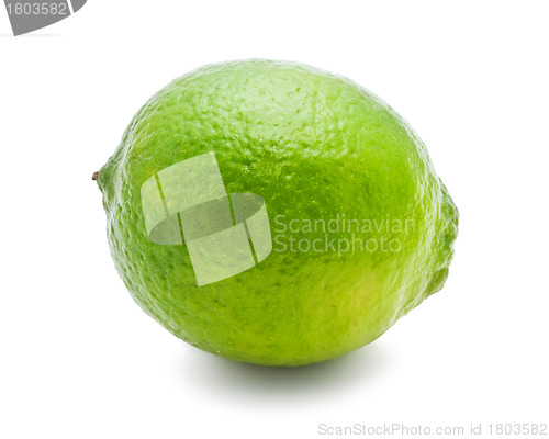 Image of Lime