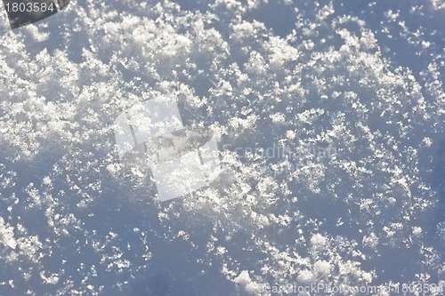 Image of Snow