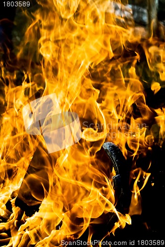 Image of Flame 