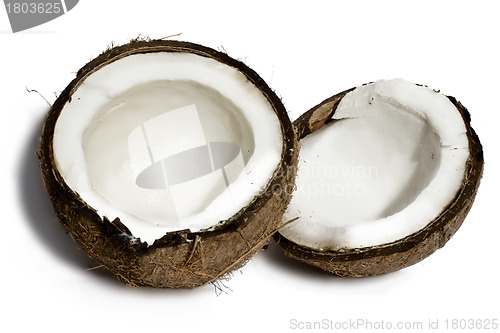 Image of Fresh coconut