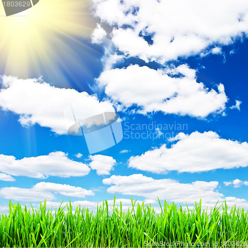 Image of Spring background