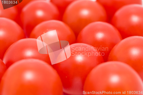 Image of Tomatoes