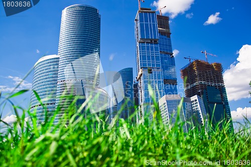 Image of Skyscrapers and grass