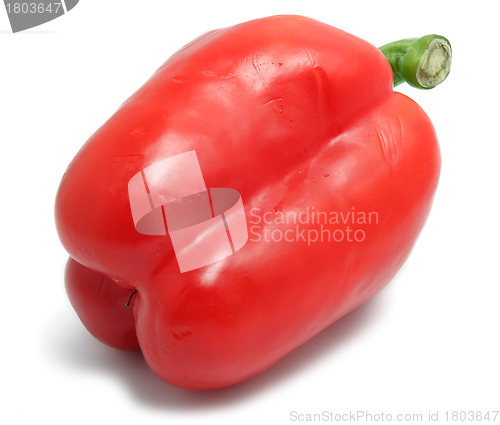 Image of Bell pepper