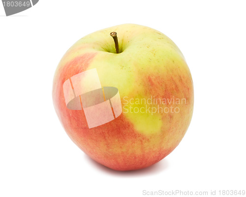 Image of Apple