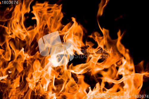 Image of Flame