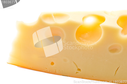 Image of Cheese 