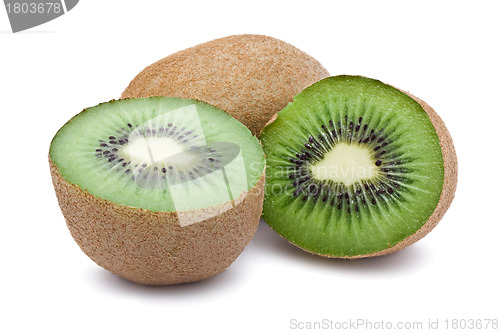 Image of Kiwi