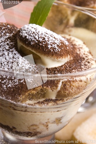 Image of Tiramisu Dessert 