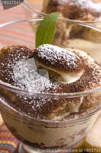 Image of Tiramisu Dessert 
