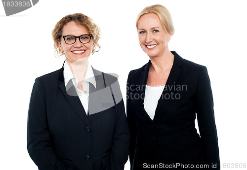 Image of Senior businesswomen standing