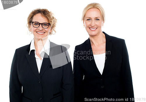 Image of Team of two smiling businesswomen posing