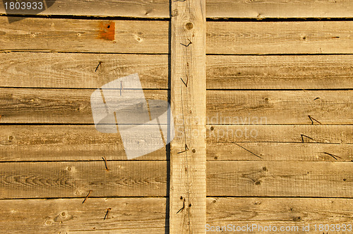 Image of Background of wooden plank wall and lot turn nails 