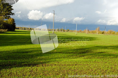 Image of agricultural field plants grow electricity pole 