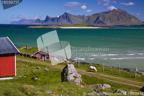 Image of Panorama on Lofoten