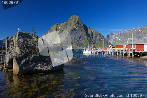 Image of Reine on Lofoten