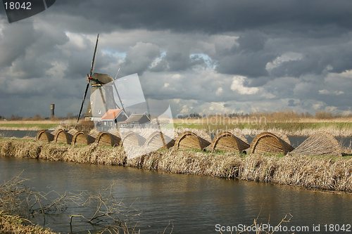 Image of Cloudy Holland