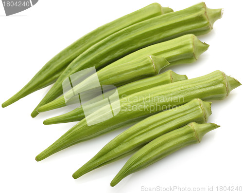 Image of Okra