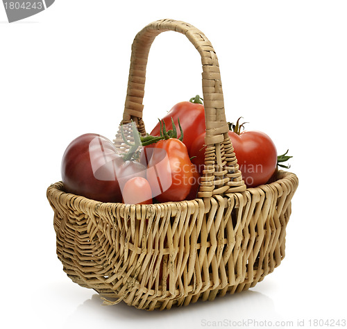 Image of Fresh Tomatoes